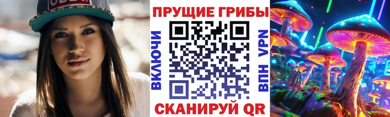 магазин наркотиков Карачев Галлюциногенные грибы ЛСД
